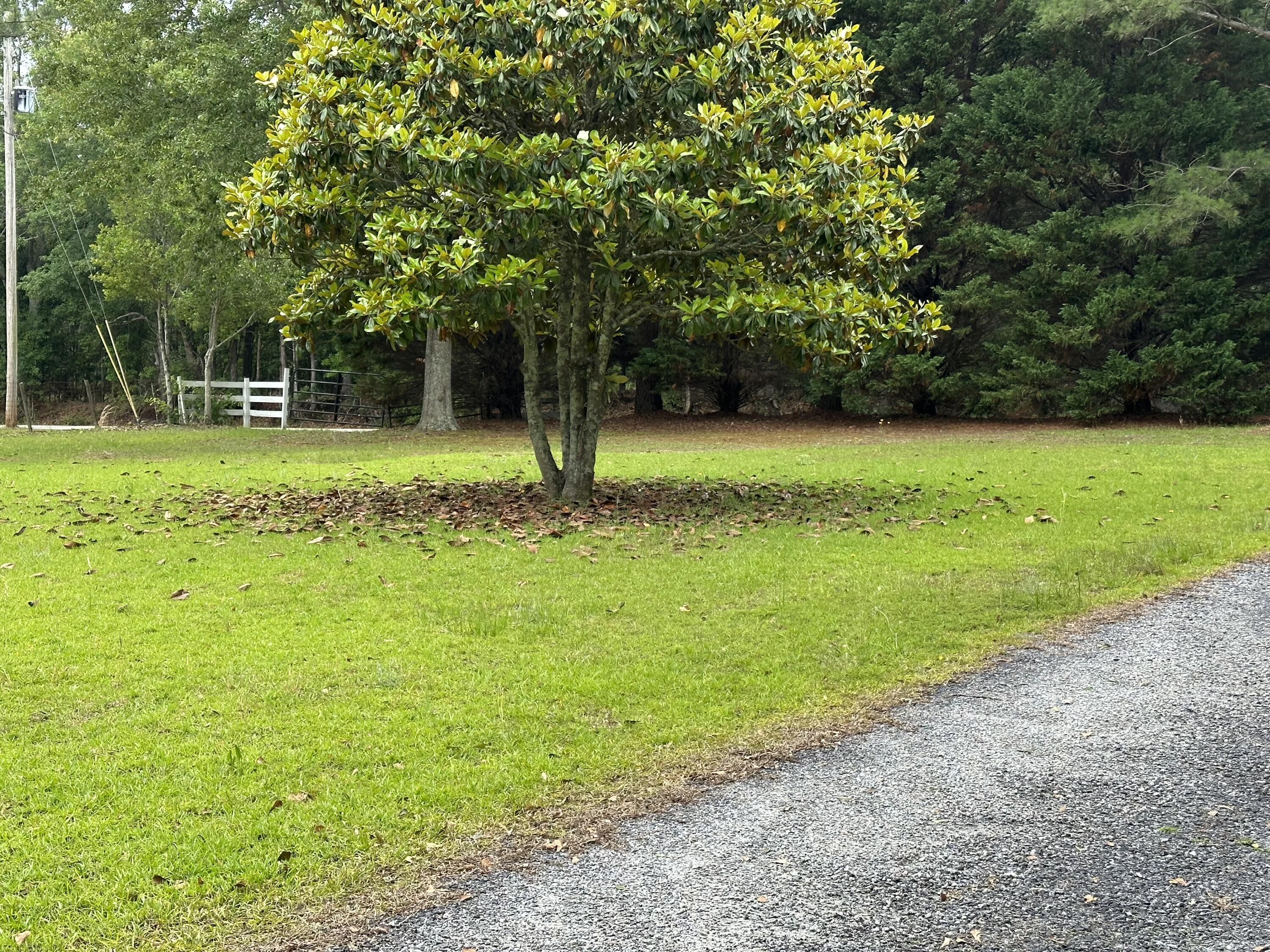 1354 Davis Bridge Road Williston, SC 29853 - Photo 8 of 45