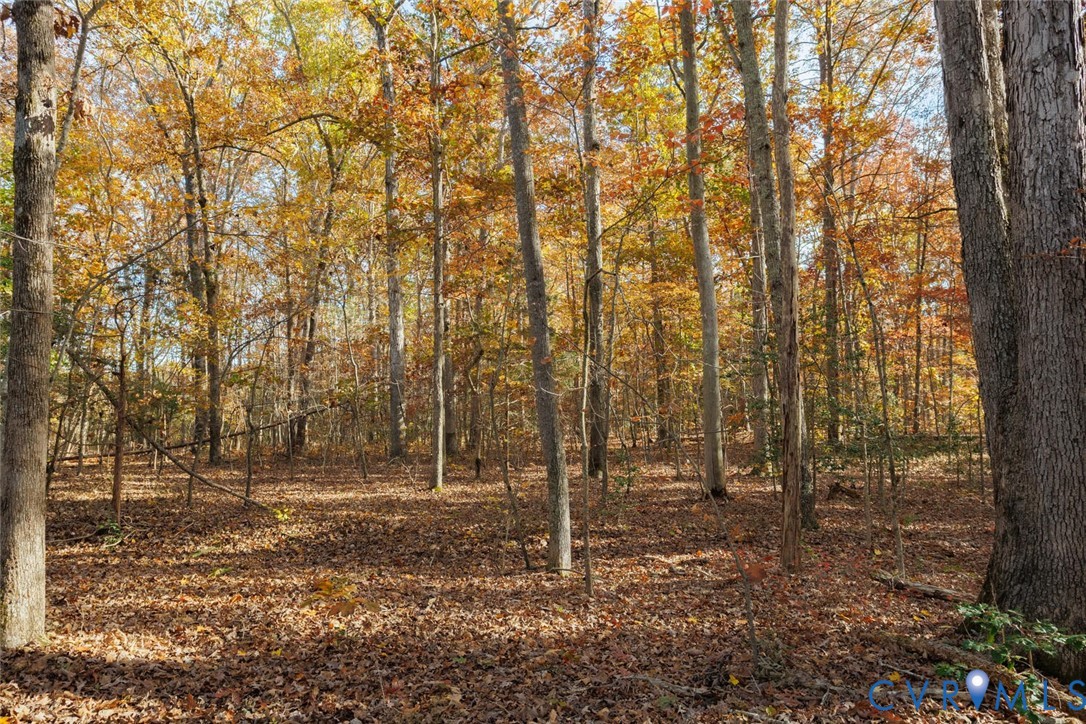 Lot 2 Maidens Road Maidens, VA 23102 - Photo 25 of 35 View of woods