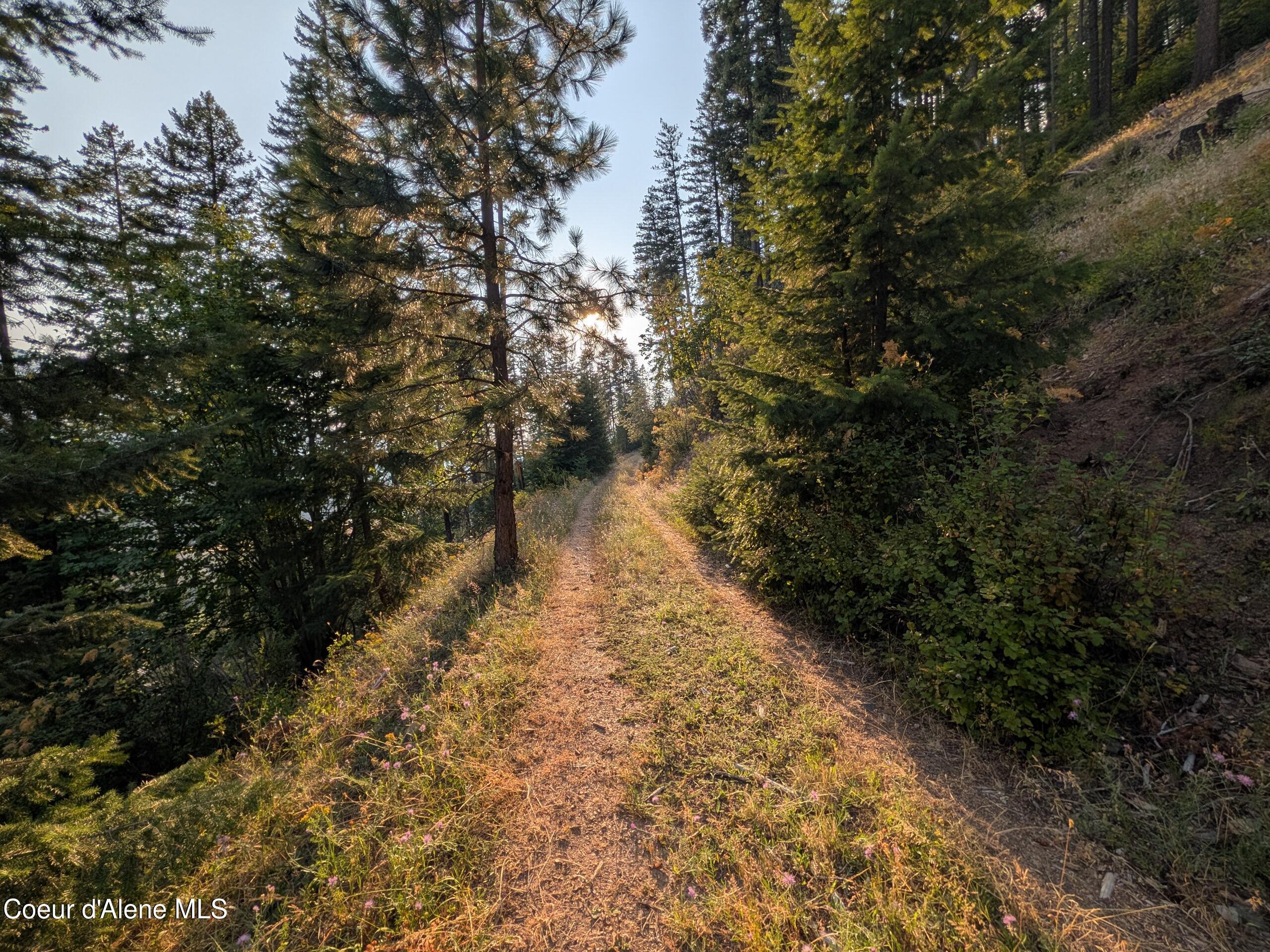 20.02 A Daisy Gulch Road Mullan, ID 83846 - Photo 4 of 4 Daisy Gulch 20.02 Acres