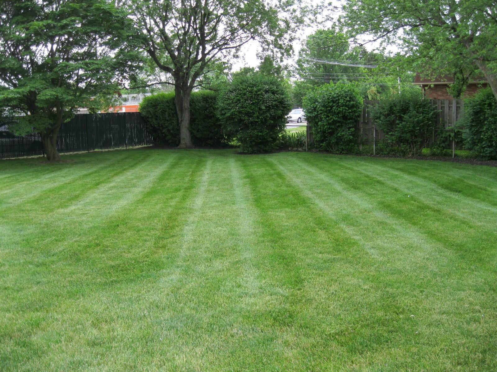 1549 Norma Road Columbus, OH 43229 - Photo 10 of 29 Gallery Image 10