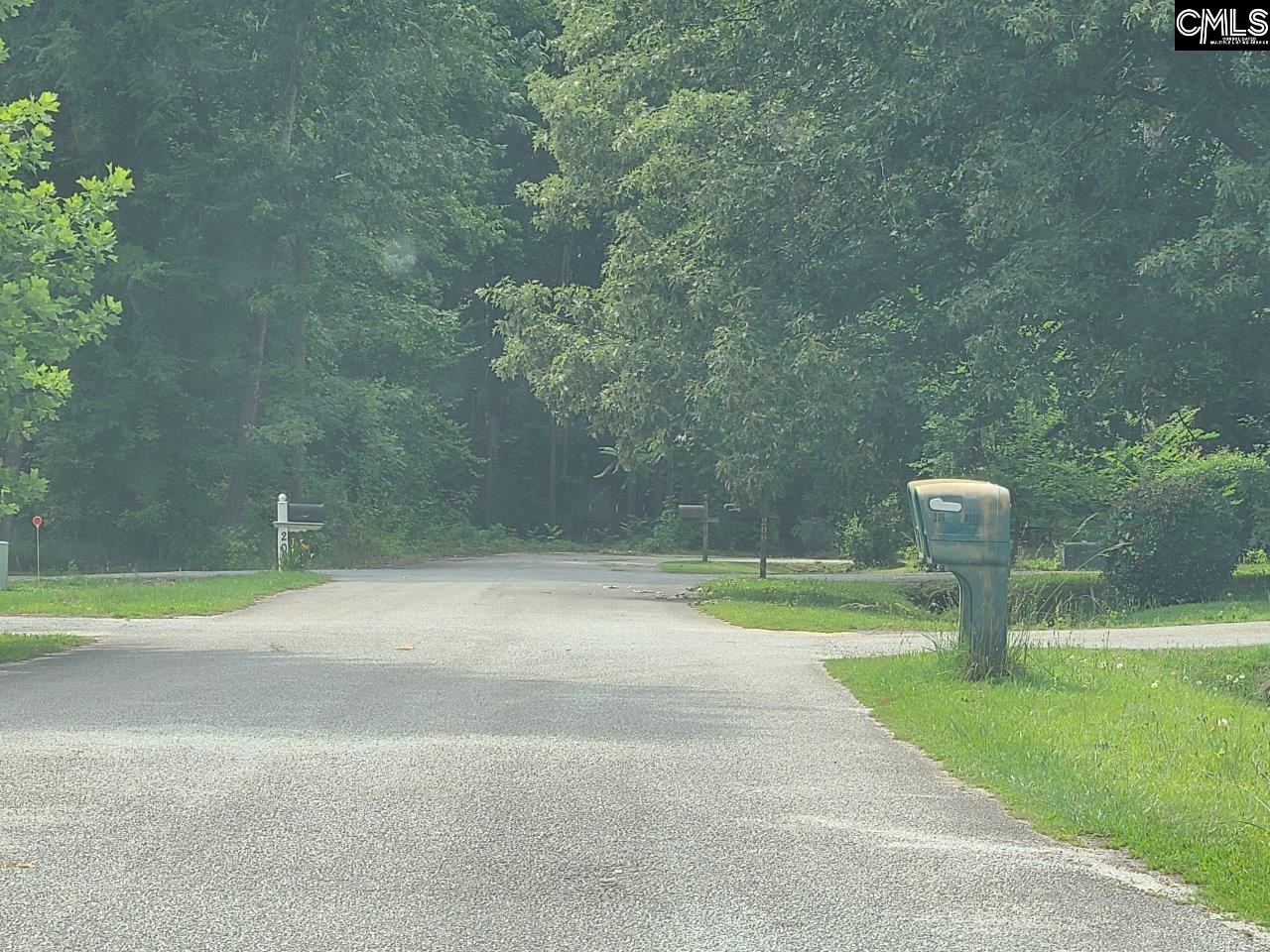 207 State Rd S-30-874 Clinton, SC 29325 - Photo 7 of 9