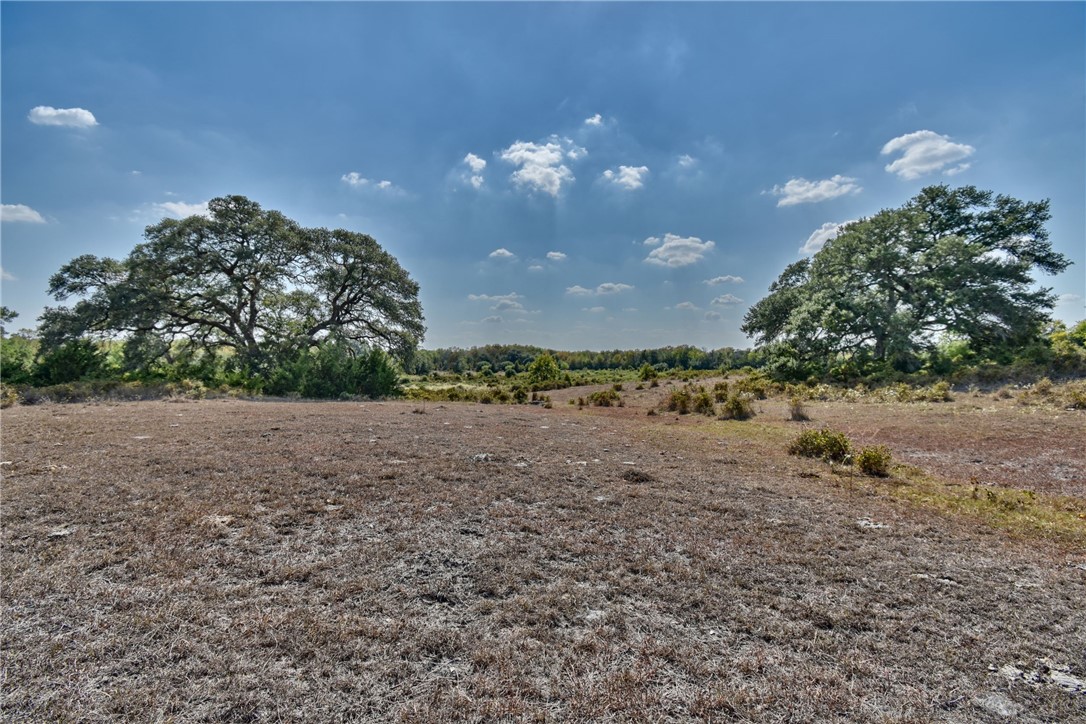 3 Fm 1457 Road Round Top, TX 78954 - Photo 1 of 1 Gallery Image 1