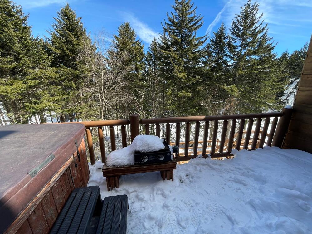 21 Loggers Run Slatyfork, WV 26291 - Photo 2 of 29 Gallery Image 2