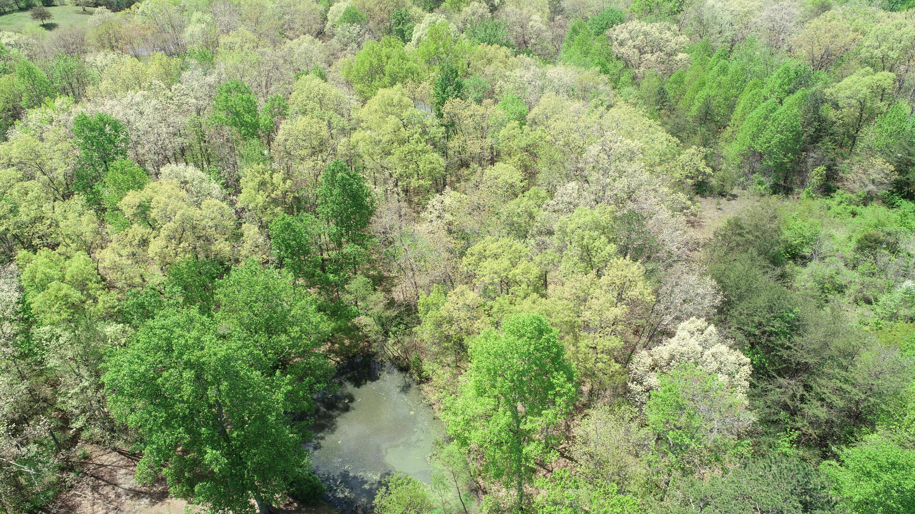 26 Josh Hill Road Pine Knot, KY 42635 - Photo 40 of 44 DJI_0644