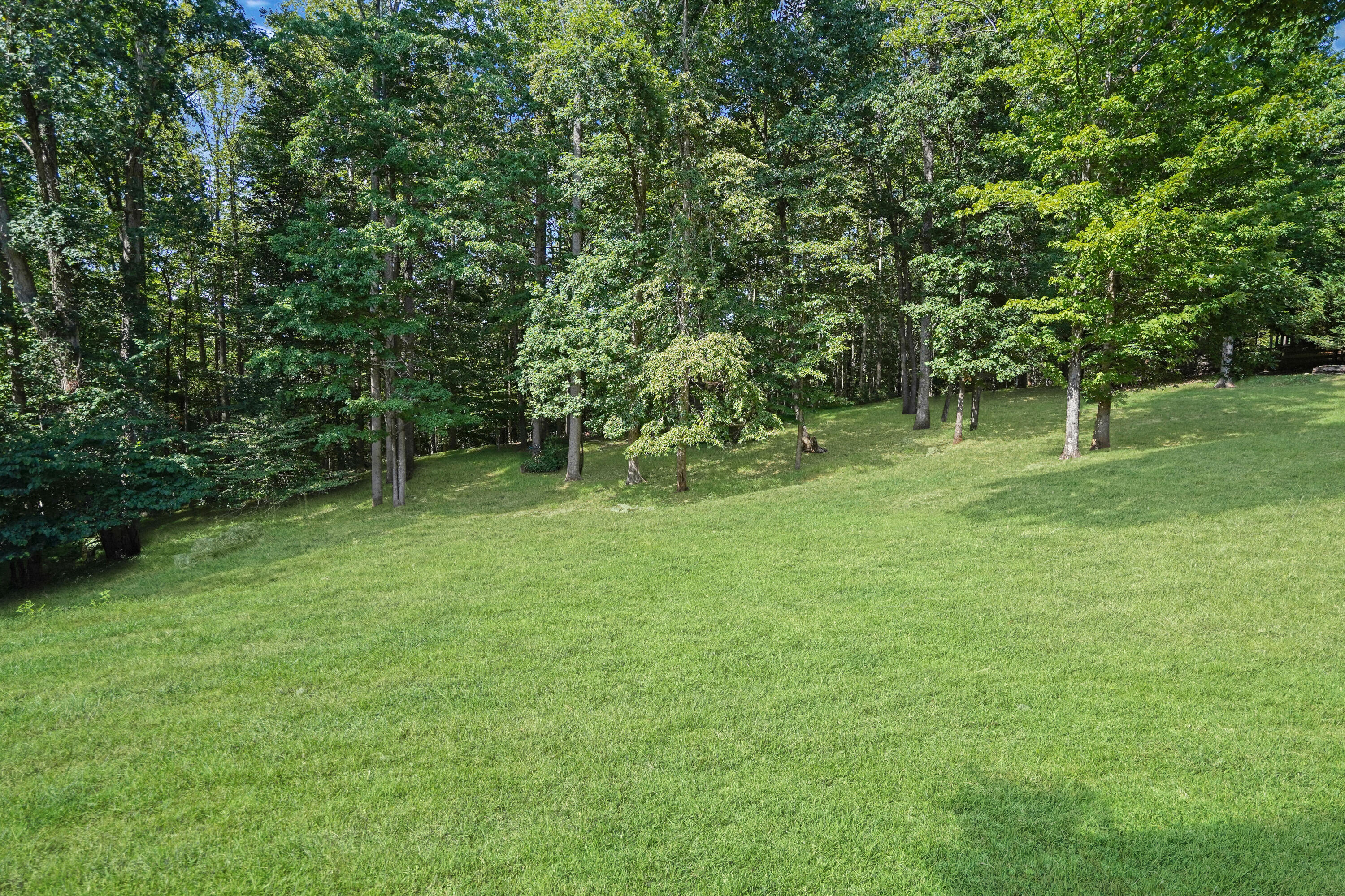 401 Whisperway Road Moneta, VA 24121 - Photo 52 of 60 Lower Porch View