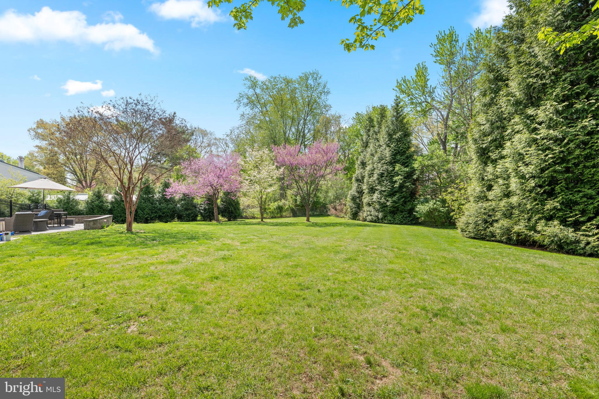 1442 Potter Lane Wayne, PA 19087 - Photo 39 of 44 Backyard