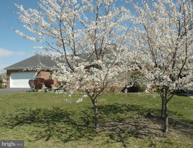 207 Canyon Road Winchester, VA 22602 - Photo 29 of 29 Springtime Exterior
