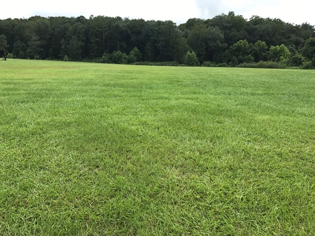 222 Bud Moore Road Cottonwood, AL 36320 - Photo 1 of 1