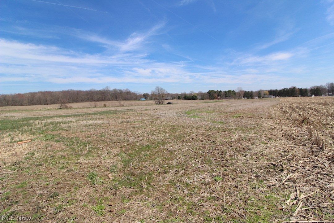 Taylor Road Doylestown, OH 44230 - Photo 4 of 11 Gallery Image 4