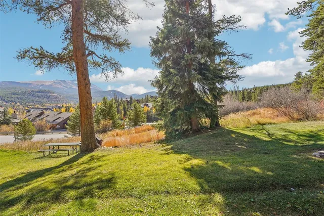 a view of yard with swimming pool and green space