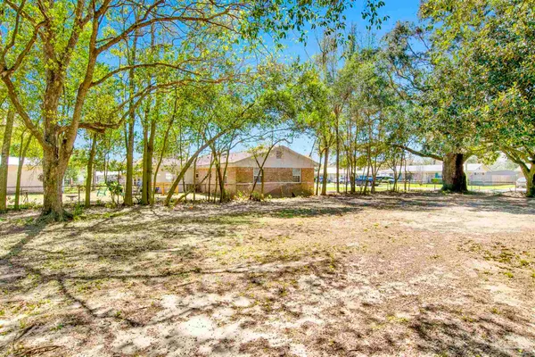 a view of yard with tree