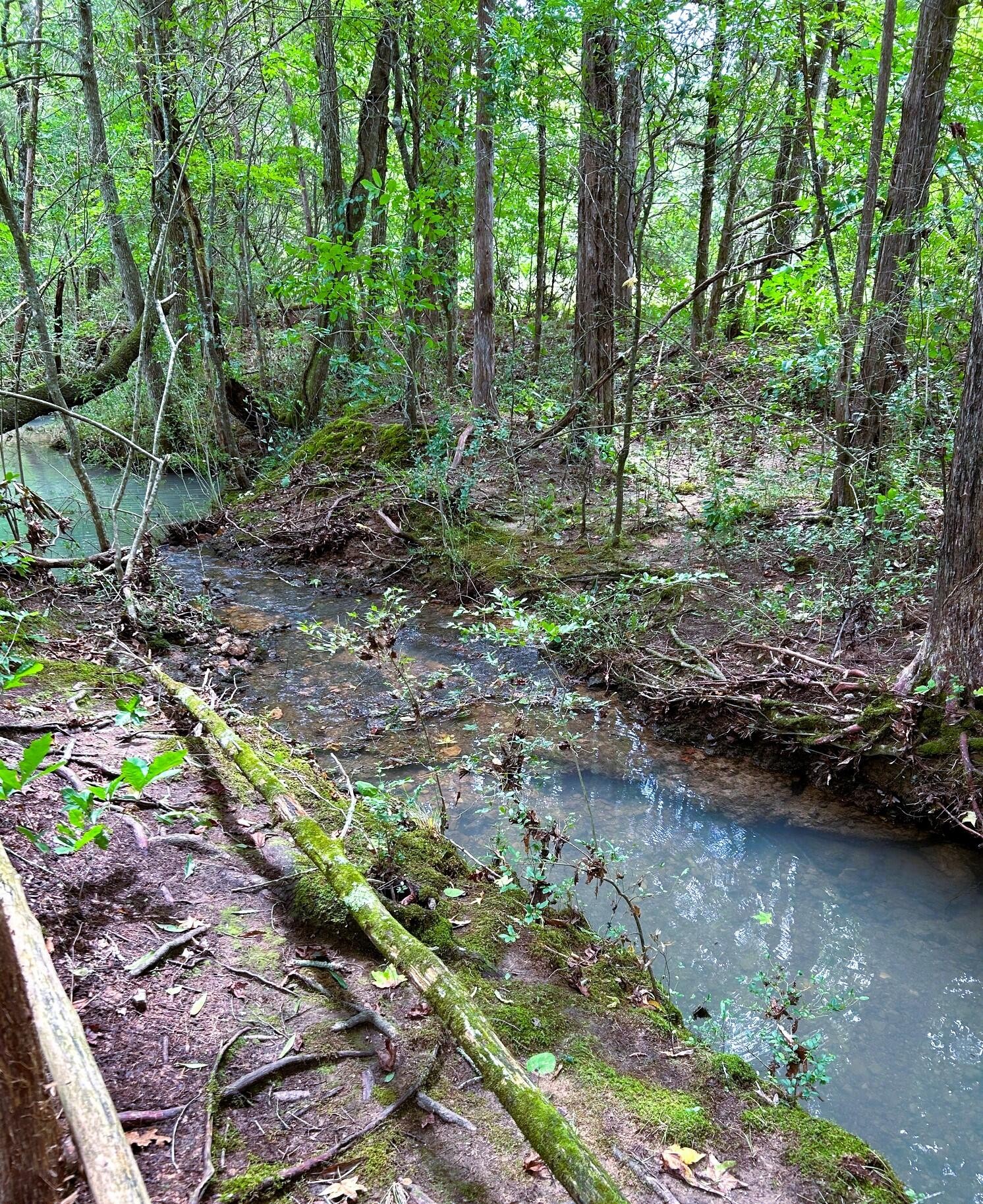 5 Euchee Road Ten Mile, TN 37880 - Photo 11 of 32