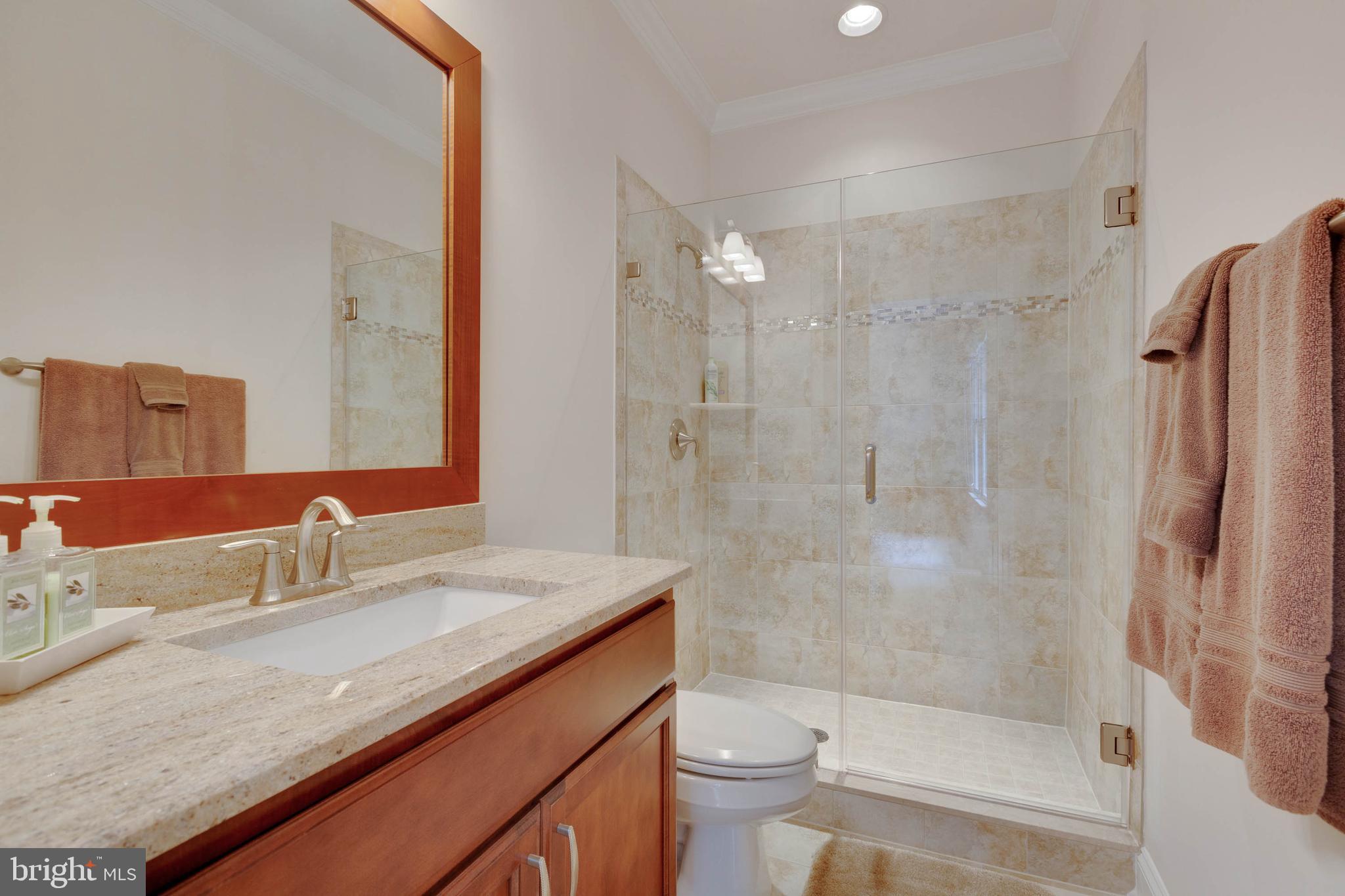 3003 Weber Place Oakton, VA 22124 - Photo 45 of 63 a bathroom with a granite countertop sink a toilet and shower