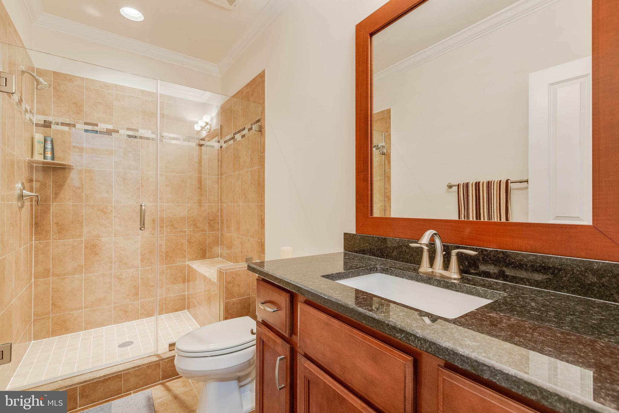 3003 Weber Place Oakton, VA 22124 - Photo 60 of 63 a bathroom with a granite countertop sink a toilet a mirror and shower