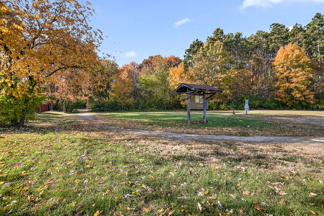 a view of yard with green space