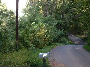 622 South Water Fork Road Greeneville, TN 37743 - Photo 3 of 4 Photo 3