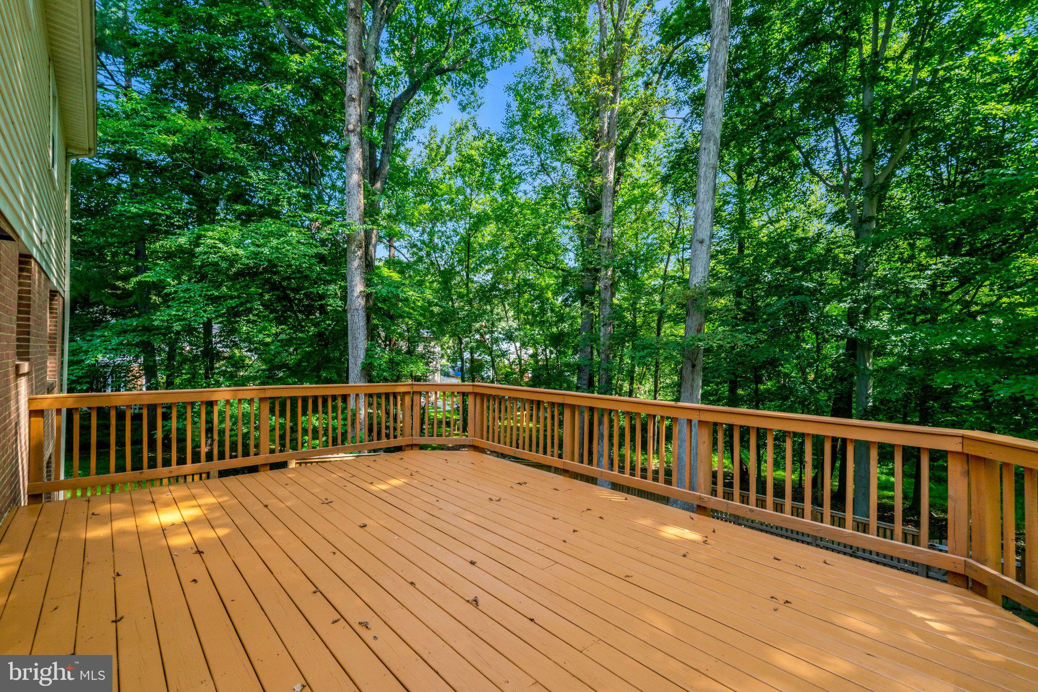 7217 Reservation Drive Springfield, VA 22153 - Photo 21 of 57