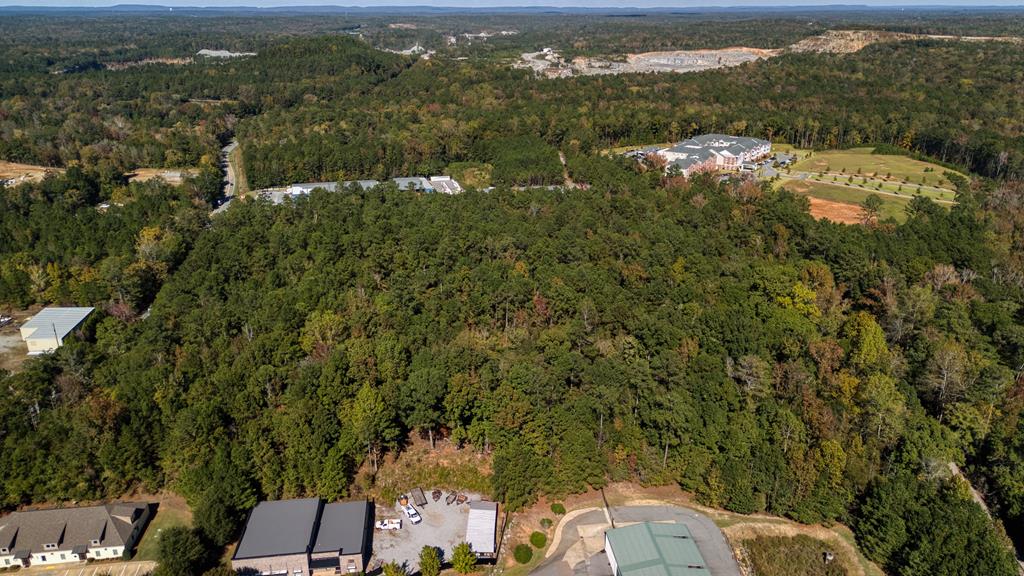 8300 Fortson Road Columbus, GA 31909 - Photo 8 of 15 an aerial view of a houses with yard