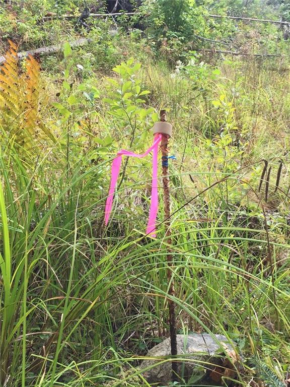 0 East Hedge Road Woolwich, ME 04579 - Photo 25 of 32 Photo