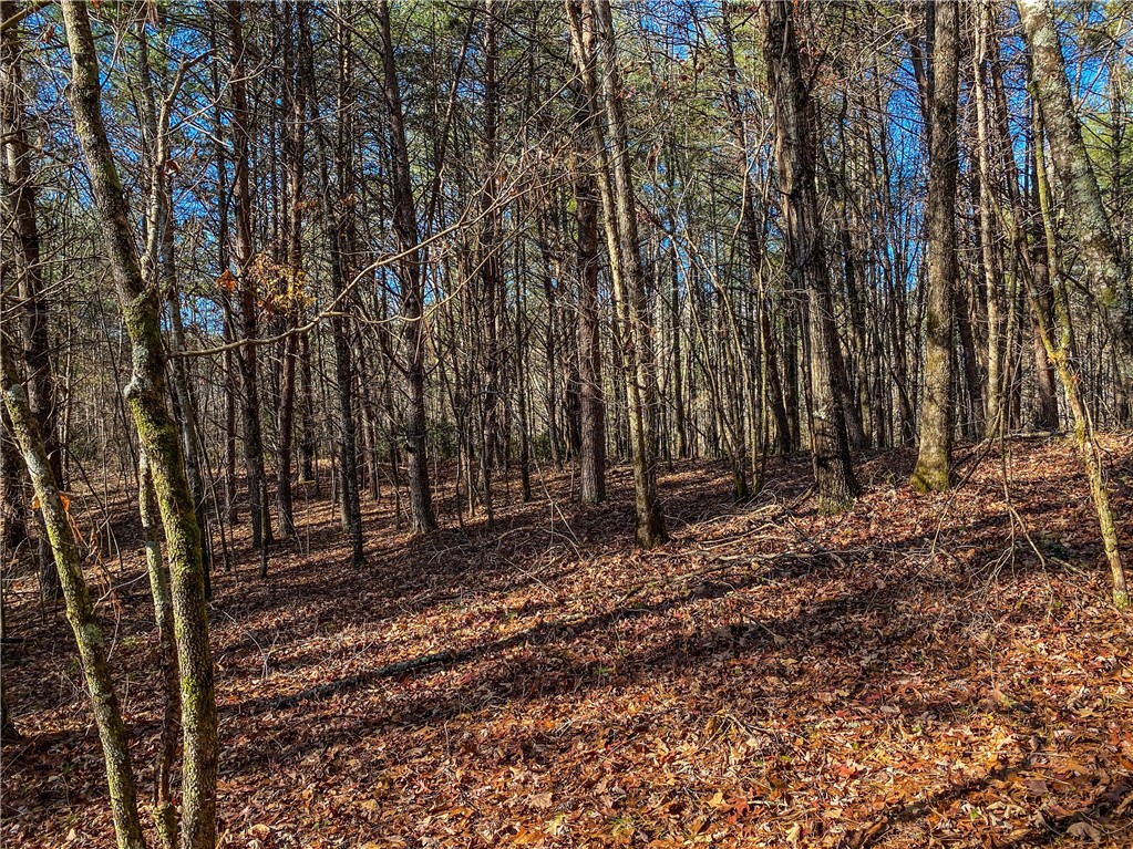 108 Princess Tree Way Sunset, SC 29685 - Photo 6 of 9
