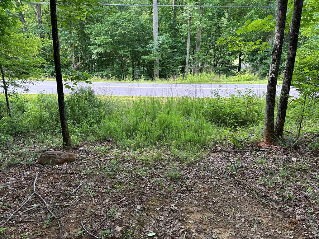 0 Caney Creek Road Murphy, NC 28906 - Photo 1 of 5 Main View