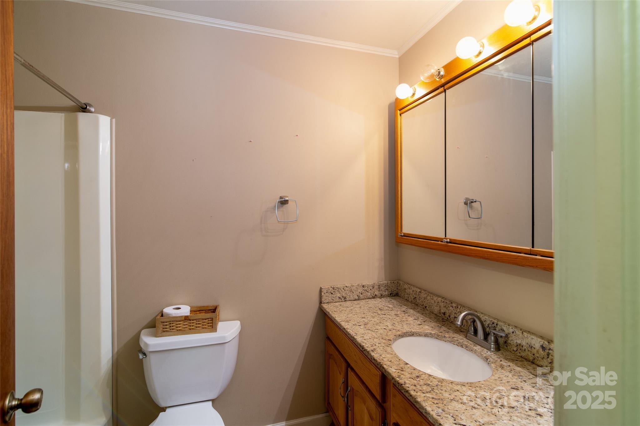 220 Frosty Ridge Road Sylva, NC 28779 - Photo 14 of 32 a bathroom with a granite countertop sink toilet and shower