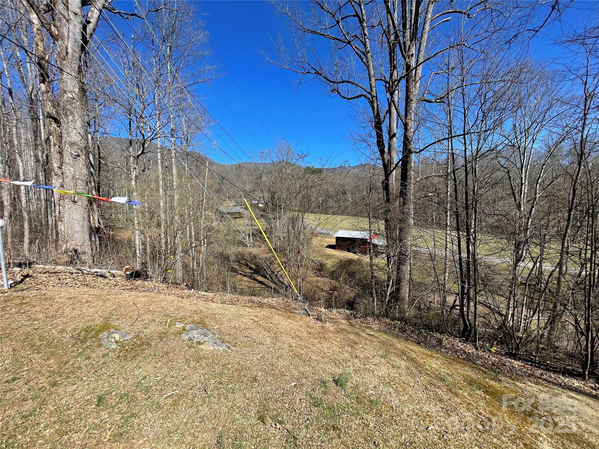220 Frosty Ridge Road Sylva, NC 28779 - Photo 24 of 32 a view of a backyard of the house