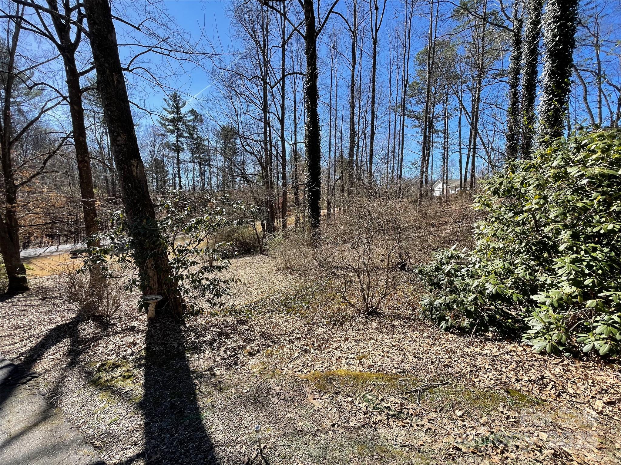 220 Frosty Ridge Road Sylva, NC 28779 - Photo 30 of 32 a view of a yard with trees