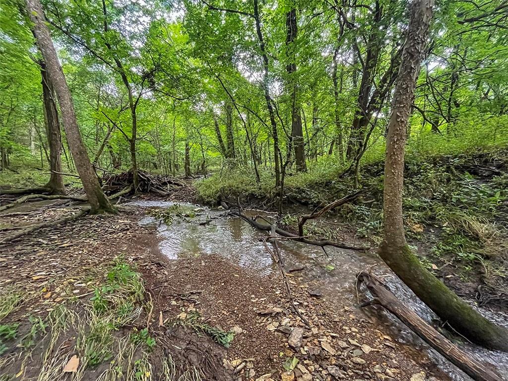 Tbd Road Rich Hill, MO 64779 - Photo 14 of 19