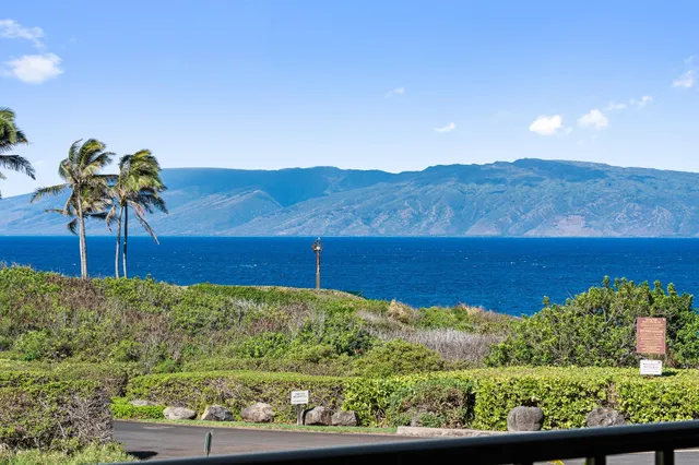 a view of a garden with a building in the background