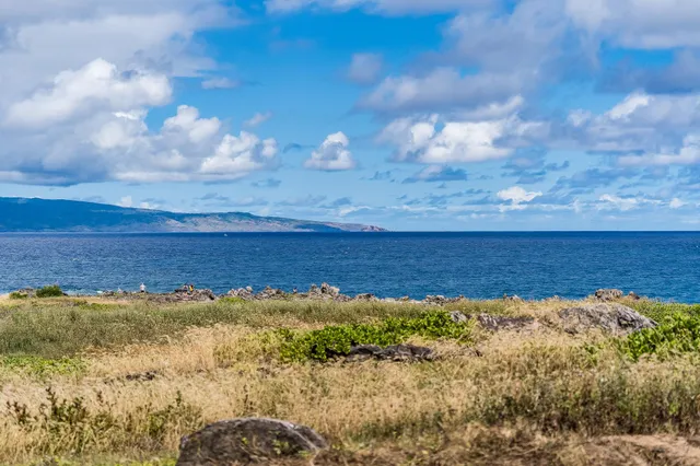 a view of a lake from a yard