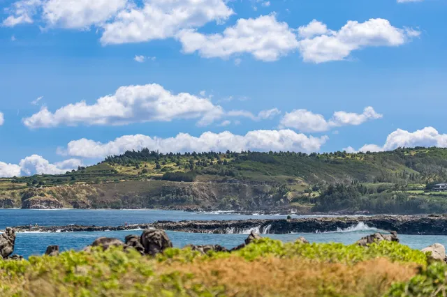 a view of a lake with a houses in the background