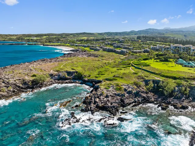 a view of a city with ocean view