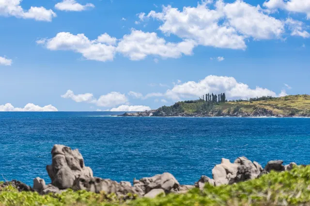 a view of a lake from a yard