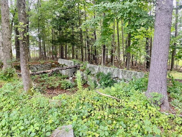 8-ac Mudgett Road Parsonsfield, ME 04047 - Photo 12 of 12 IMG_8520