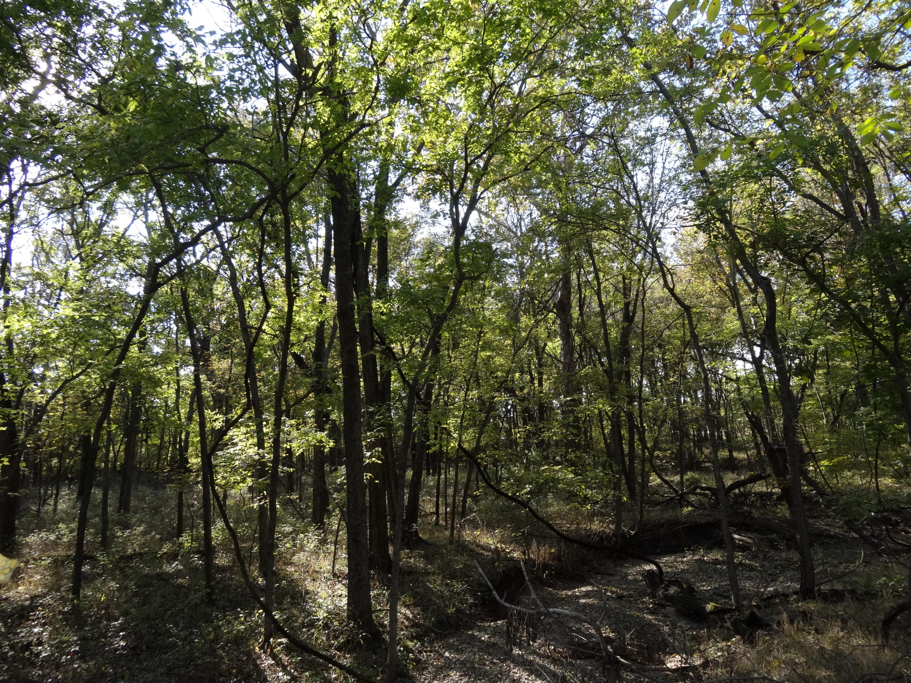 6 R R Wann, OK 74083 - Photo 15 of 48 Gallery Image 15