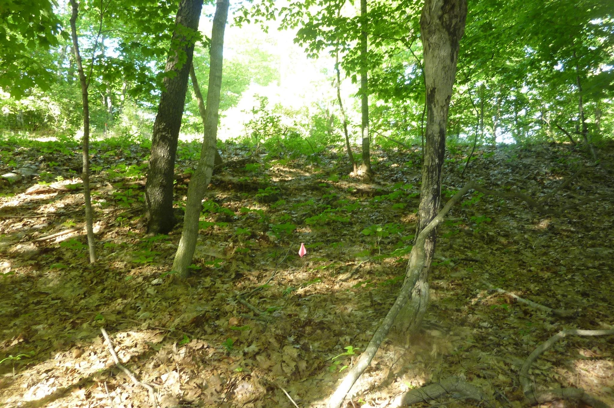 Oo Point Betsie Road Frankfort, MI 49635 - Photo 8 of 13