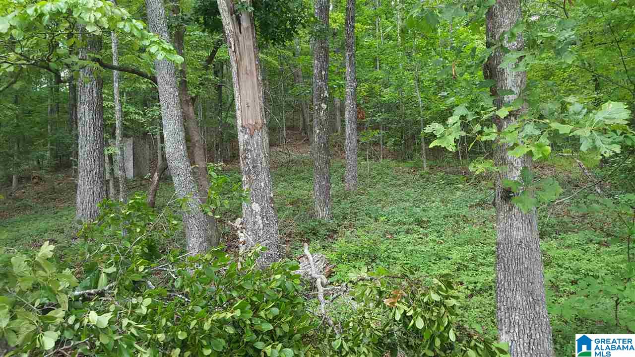 11-acres Deer Run Road, Unit 148330000001 010 Alabaster, AL 35007 - Photo 11 of 34