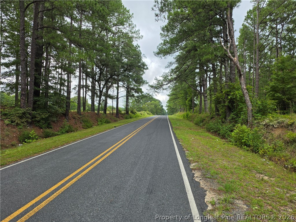 West Road Cameron, NC 28326 - Photo 2 of 14