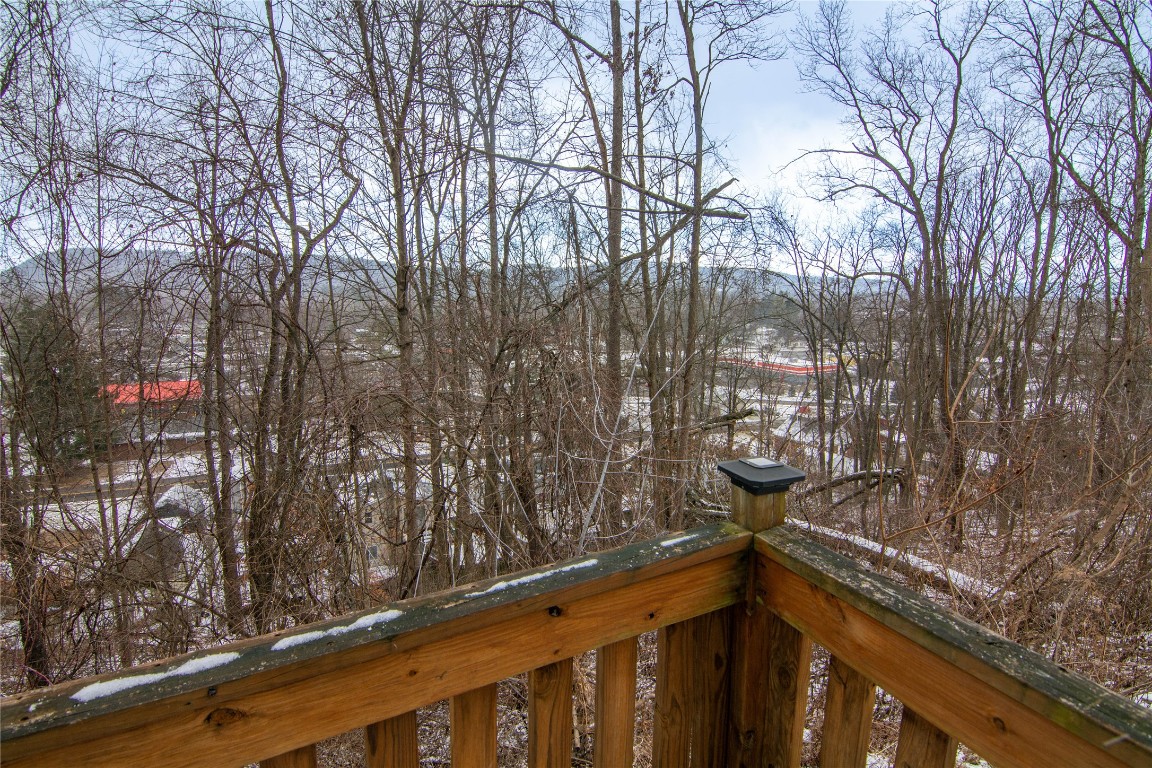 58 Savitch Road Binghamton, NY 13901 - Photo 3 of 19