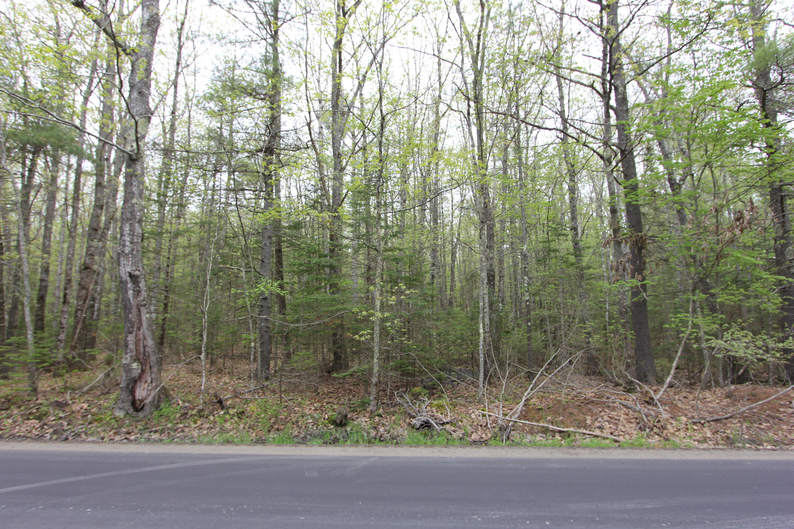 Lot 56 Carding Machine Road Bowdoinham, ME 04008 - Photo 6 of 9 IMG_9936