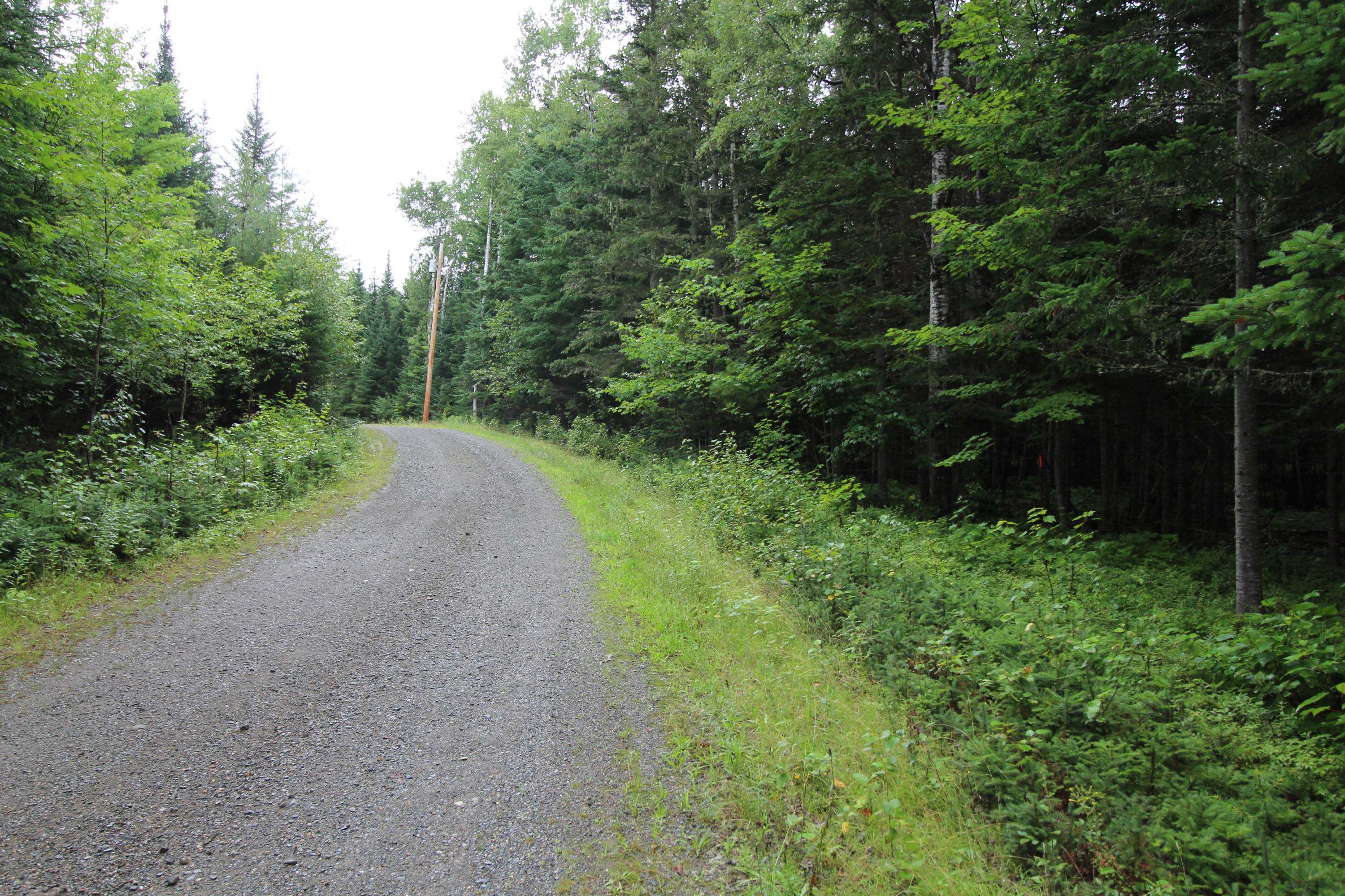 Lot 66-7 Deer Meadow Rangeley, ME 04970 - Photo 3 of 6 IMG_0390