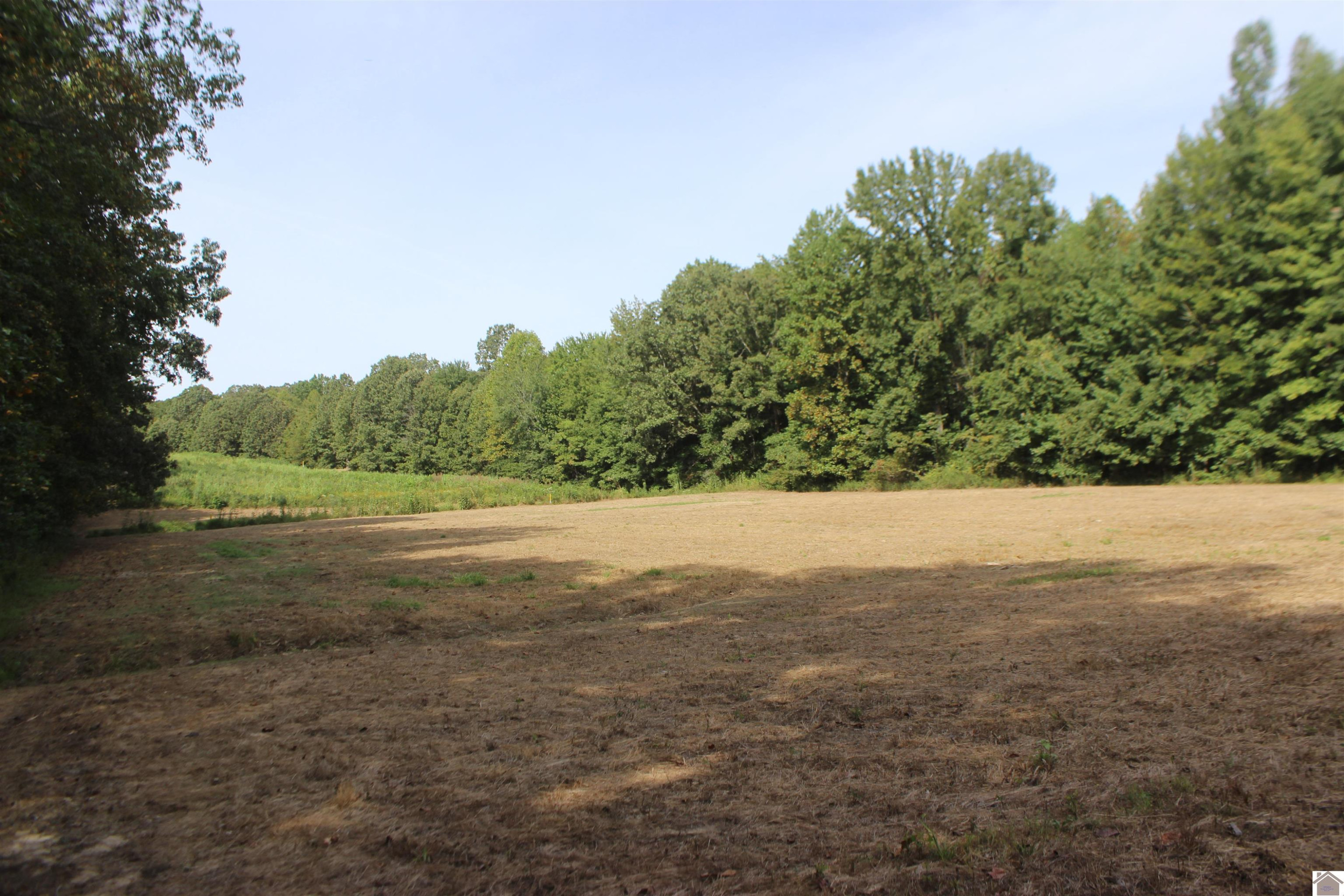 0 Corinth Church Road Grand Rivers, KY 42045 - Photo 27 of 49 Photo 27