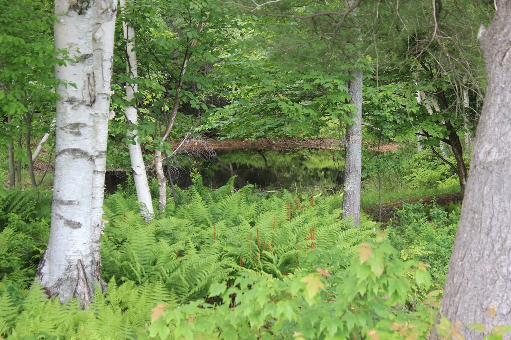 118 Flagg Hill Road Heath, MA 01346 - Photo 16 of 30