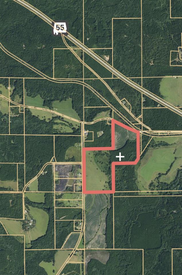 81-acres Bates Road Red Level, AL 36474 - Photo 11 of 11 Gallery Image 11