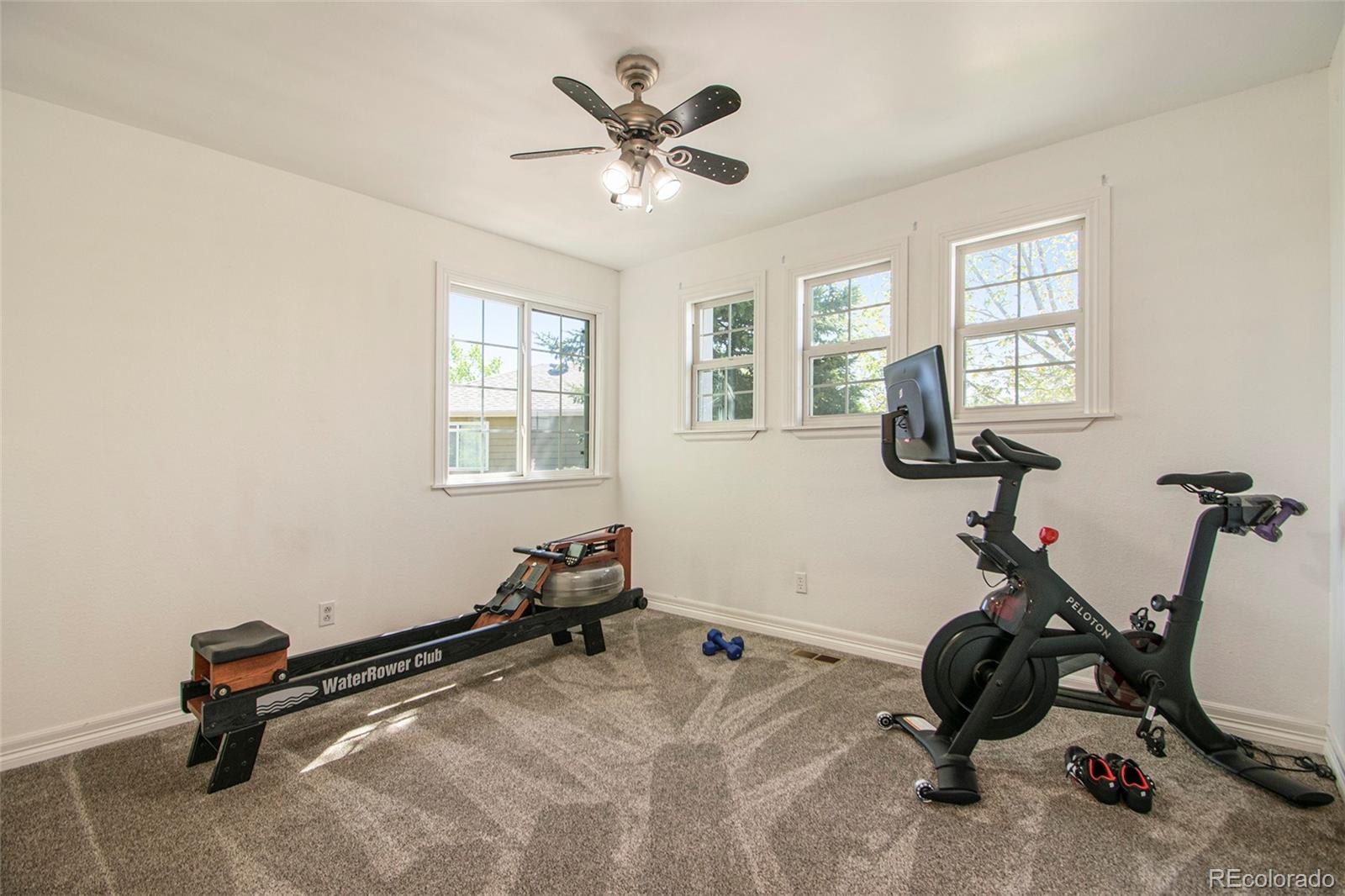 9925 Silver Maple Way Highlands Ranch, CO 80129 - Photo 23 of 33 Gallery Image 23