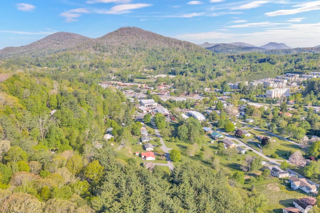 266 Morningside Drive Boone, NC 28607 - Photo 37 of 38
