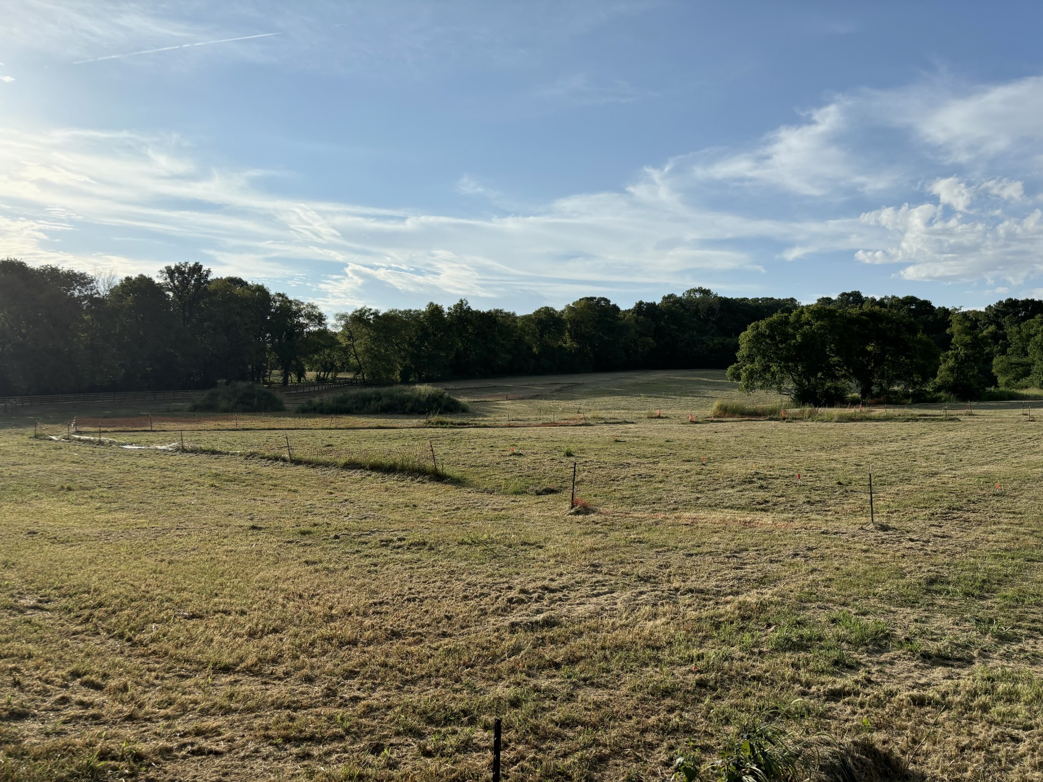 3710 Grey Barn Lane Franklin, TN 37064 - Photo 12 of 32 Gallery Image 12
