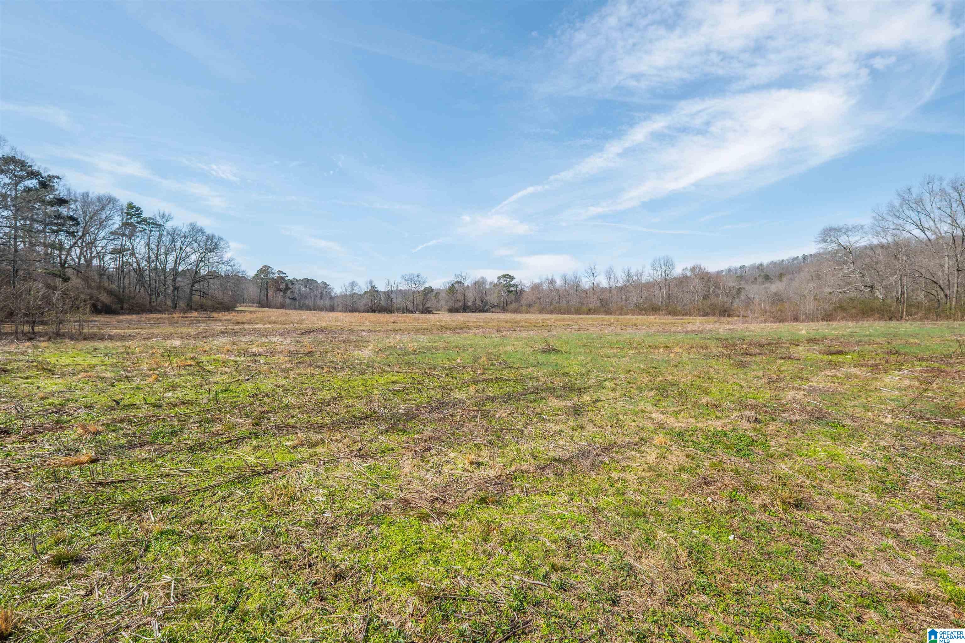 329-acres Ragan Chapel Road Ohatchee, AL 36271 - Photo 8 of 42 Gallery Image 8