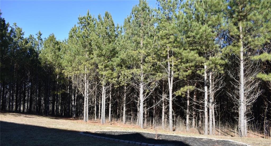 227 Selvey Road Forest City, NC 28043 - Photo 23 of 24 Gallery Image 23